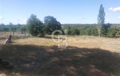 ÇANAKKALE SALİHLİ KAYIŞLAR KÖYÜ SATILIK FIRSAT TARLA