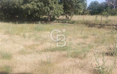 ÇANAKKALE SALİHLİ KAYIŞLAR KÖYÜ SATILIK FIRSAT TARLA