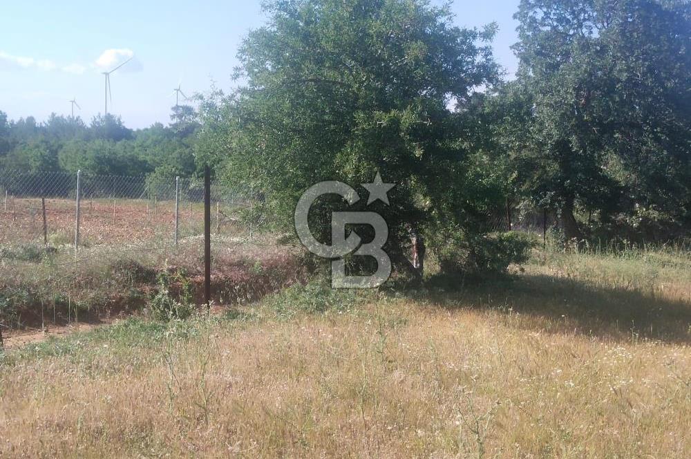 ÇANAKKALE SALİHLİ KAYIŞLAR KÖYÜ SATILIK FIRSAT TARLA