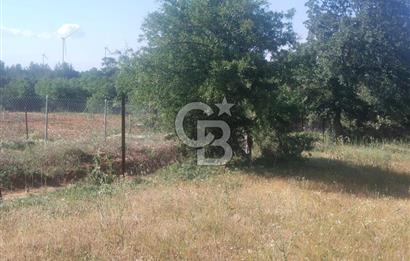 ÇANAKKALE SALİHLİ KAYIŞLAR KÖYÜ SATILIK FIRSAT TARLA