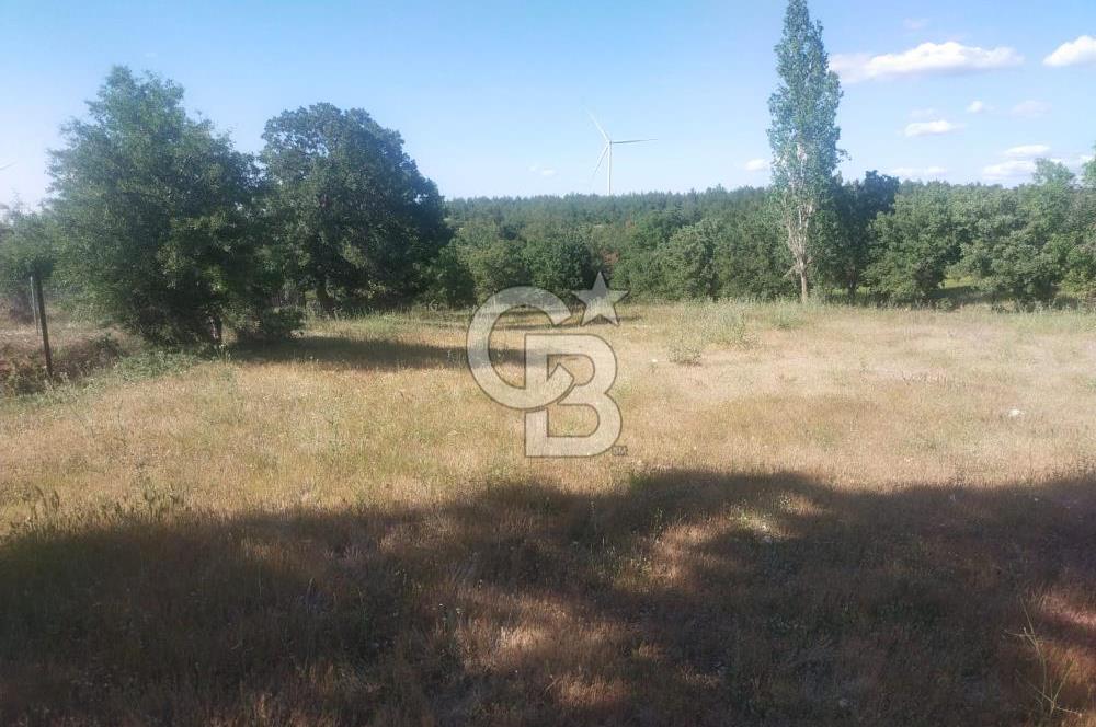 ÇANAKKALE SALİHLİ KAYIŞLAR KÖYÜ SATILIK FIRSAT TARLA