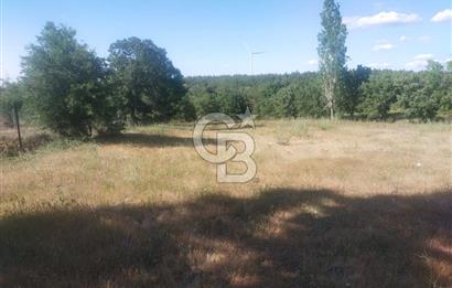 ÇANAKKALE SALİHLİ KAYIŞLAR KÖYÜ SATILIK FIRSAT TARLA