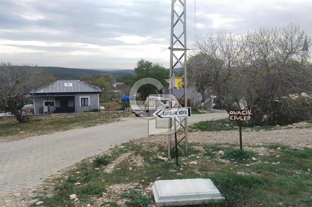ÇANAKKALE SALİHLİ KAYIŞLAR KÖYÜ SATILIK FIRSAT TARLA