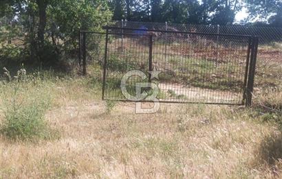 ÇANAKKALE SALİHLİ KAYIŞLAR KÖYÜ SATILIK FIRSAT TARLA