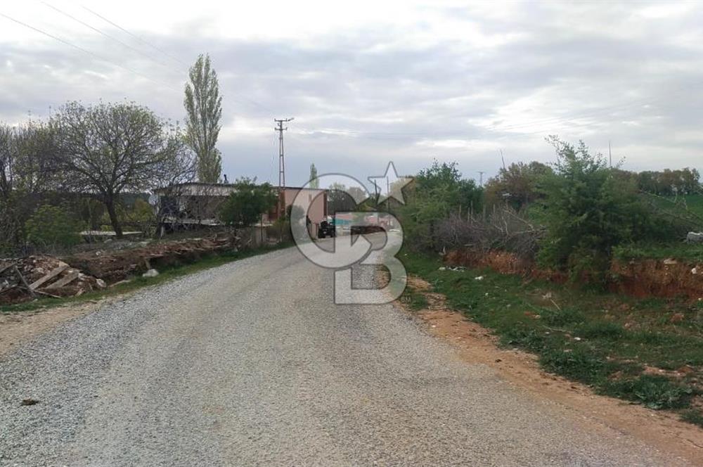 ÇANAKKALE SALİHLİ KAYIŞLAR KÖYÜ SATILIK FIRSAT TARLA