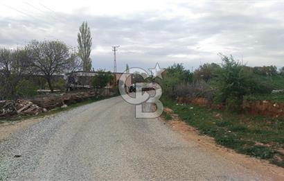 ÇANAKKALE SALİHLİ KAYIŞLAR KÖYÜ SATILIK FIRSAT TARLA