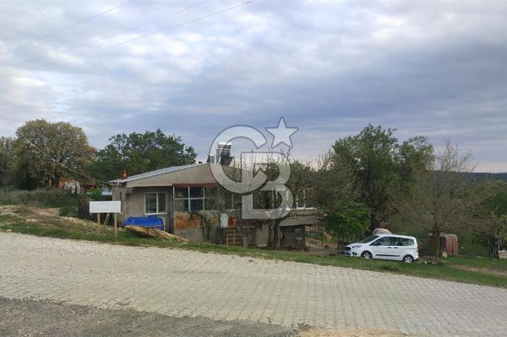 ÇANAKKALE SALİHLİ KAYIŞLAR KÖYÜ SATILIK FIRSAT TARLA