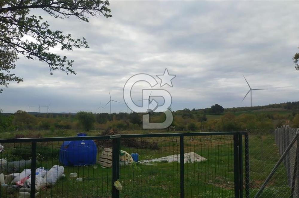 ÇANAKKALE SALİHLİ KAYIŞLAR KÖYÜ SATILIK FIRSAT TARLA