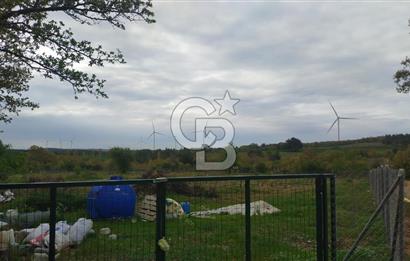 ÇANAKKALE SALİHLİ KAYIŞLAR KÖYÜ SATILIK FIRSAT TARLA