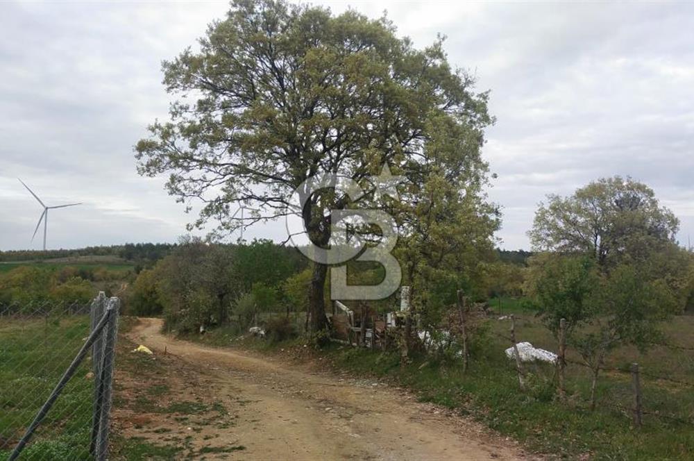 ÇANAKKALE SALİHLİ KAYIŞLAR KÖYÜ SATILIK FIRSAT TARLA