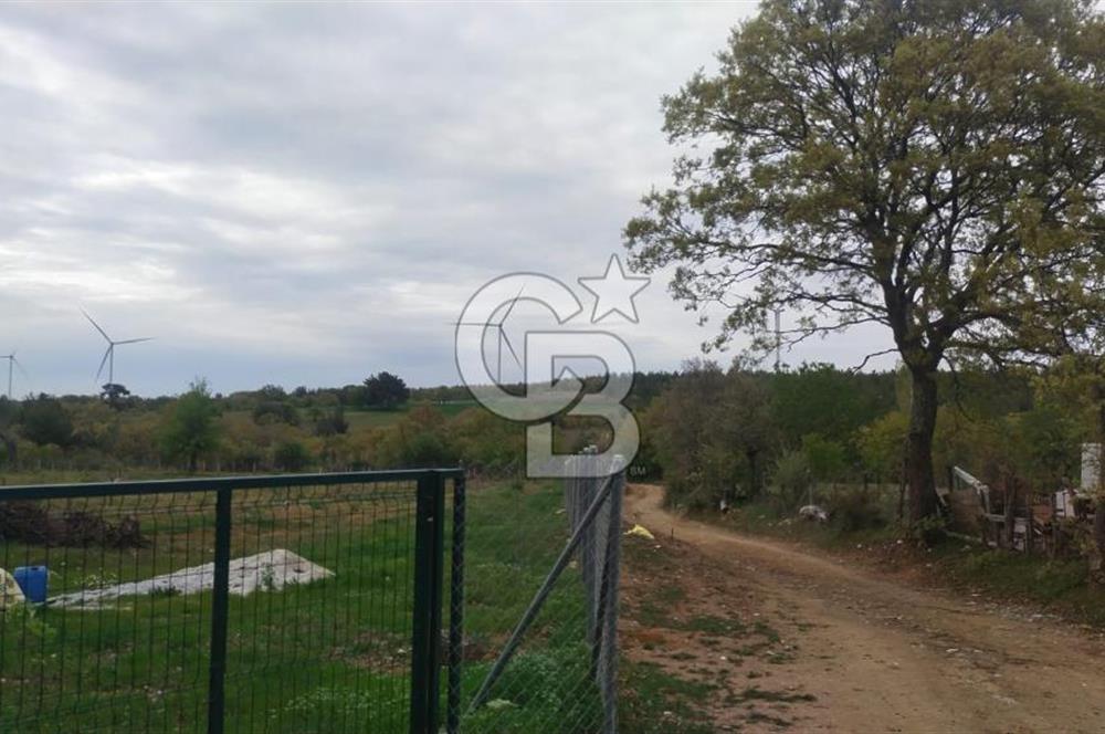 ÇANAKKALE SALİHLİ KAYIŞLAR KÖYÜ SATILIK FIRSAT TARLA