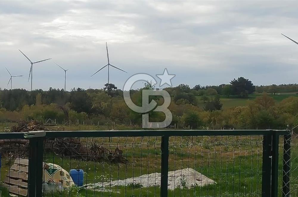 ÇANAKKALE SALİHLİ KAYIŞLAR KÖYÜ SATILIK FIRSAT TARLA