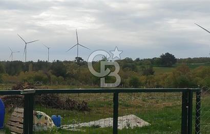 ÇANAKKALE SALİHLİ KAYIŞLAR KÖYÜ SATILIK FIRSAT TARLA