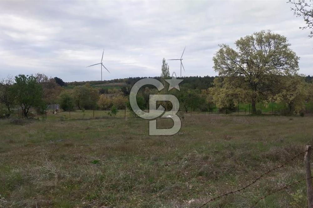 ÇANAKKALE SALİHLİ KAYIŞLAR KÖYÜ SATILIK FIRSAT TARLA