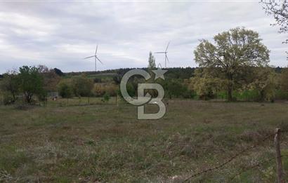 ÇANAKKALE SALİHLİ KAYIŞLAR KÖYÜ SATILIK FIRSAT TARLA