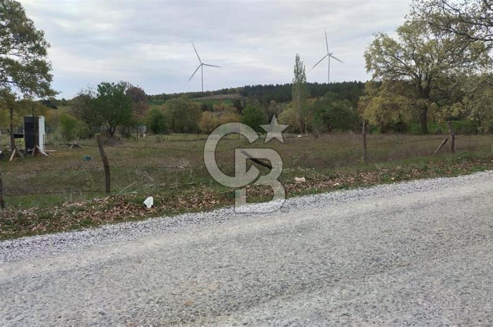 ÇANAKKALE SALİHLİ KAYIŞLAR KÖYÜ SATILIK FIRSAT TARLA