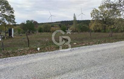 ÇANAKKALE SALİHLİ KAYIŞLAR KÖYÜ SATILIK FIRSAT TARLA