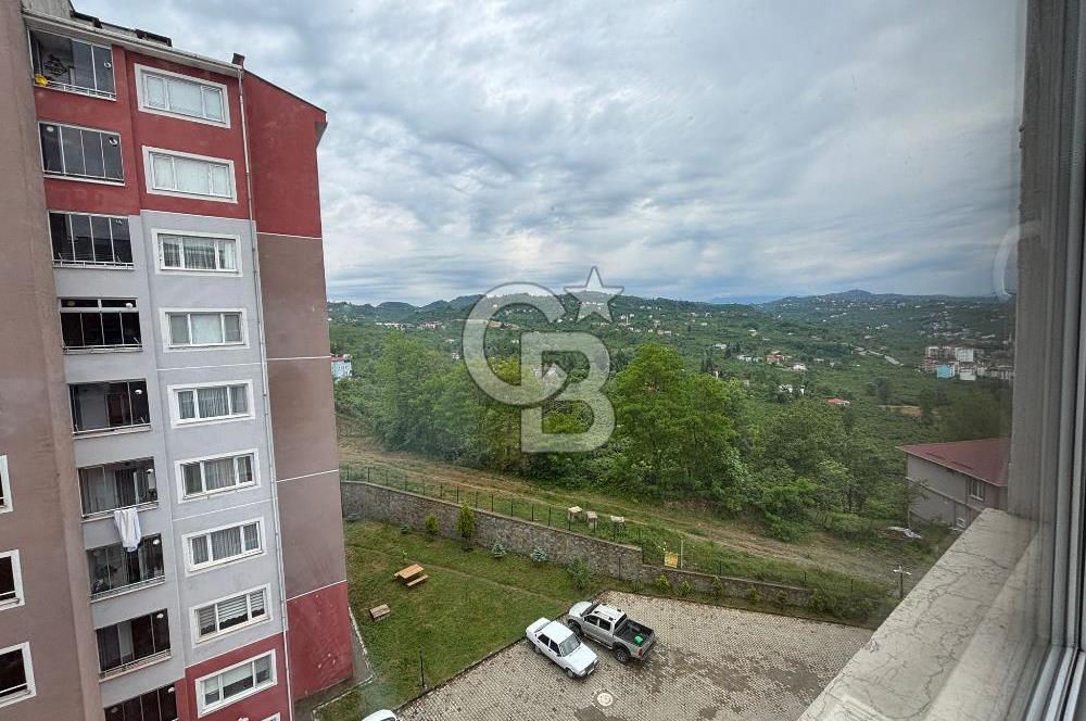 ORDU ESKİPAZAR TOKİ KONUTLARINDA FIRSAT DAİRE 