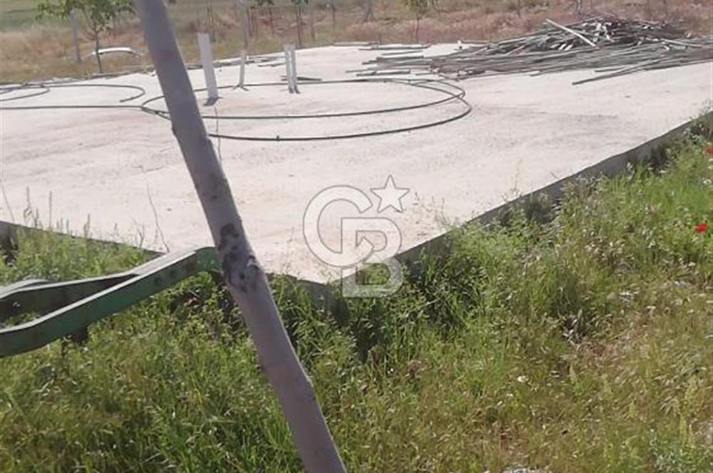 USAK ULUBEY DUTLUCA'DA CEViZ BAHCESi