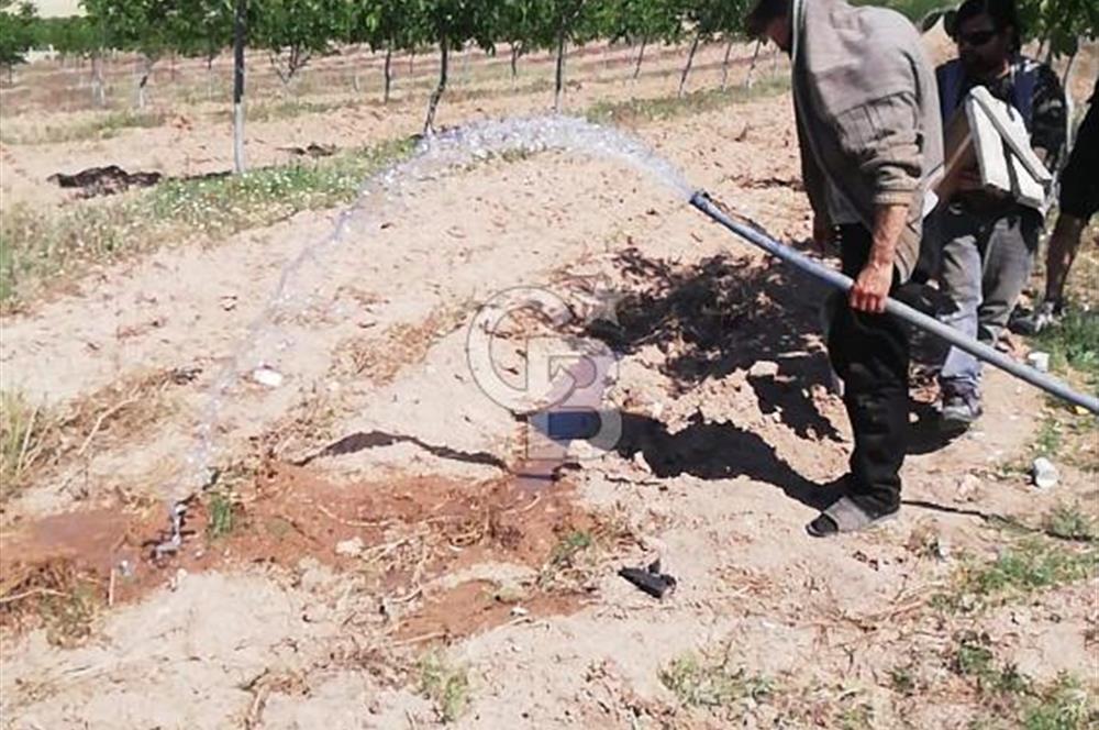 USAK ULUBEY DUTLUCA'DA CEViZ BAHCESi