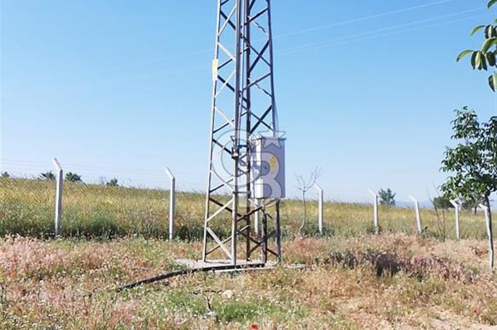 USAK ULUBEY DUTLUCA'DA CEViZ BAHCESi