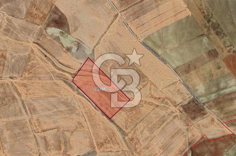 GÖLBAŞI BEZİRHANE 26.085 M2 TEK KÖK TAPU SATILIK FIRSAT TARLA