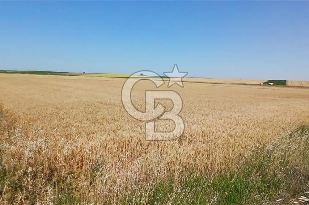 TEKİRDAĞ SARAY GÖÇERLER'DE SATILIK 2827 m² ARSA