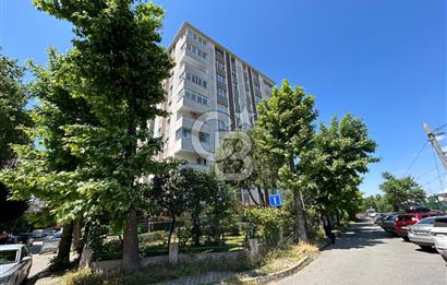 Maltepe Yalı Mah Dragos Sitesinde Satılık Arakat 3+1 Daİre