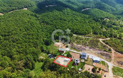 HAYDARİYEDE DOĞA İLE İÇ İÇE ELEKTRİK ve SUYU OLAN SATILIK BAHÇE
