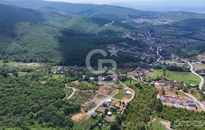 HAYDARİYEDE DOĞA İLE İÇ İÇE ELEKTRİK ve SUYU OLAN SATILIK BAHÇE