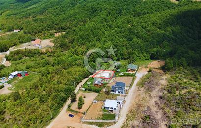 HAYDARİYEDE DOĞA İLE İÇ İÇE ELEKTRİK ve SUYU OLAN SATILIK BAHÇE