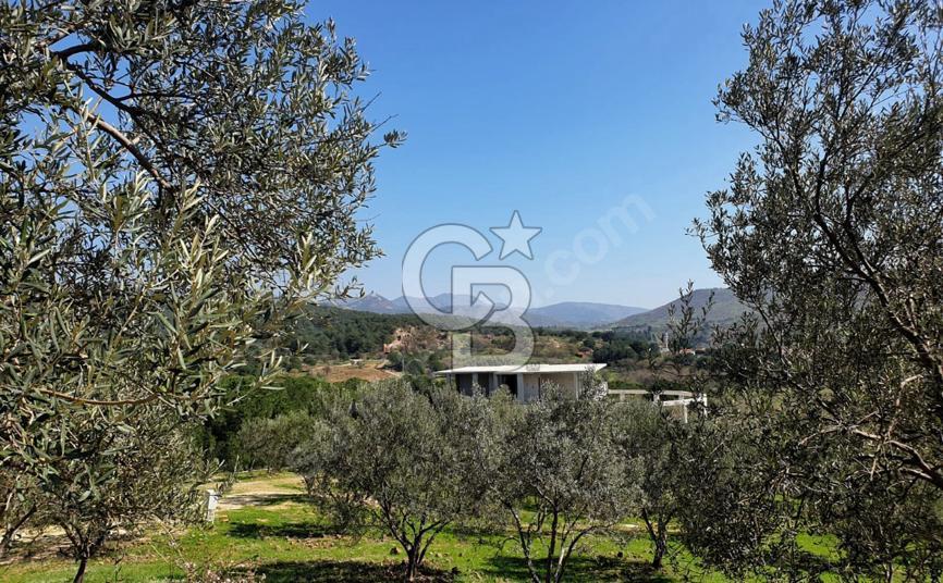 İZMİR DİKİLİ MÜTAKİL TAPU SATILIK 26.079 M2 DEĞERLİ ARAZİ