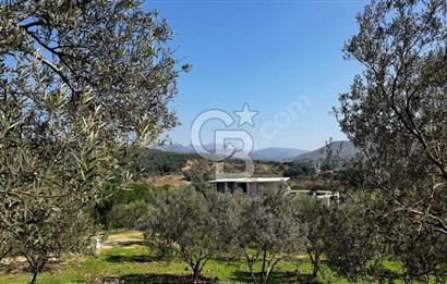 İZMİR DİKİLİ MÜTAKİL TAPU SATILIK 26.079 M2 DEĞERLİ ARAZİ