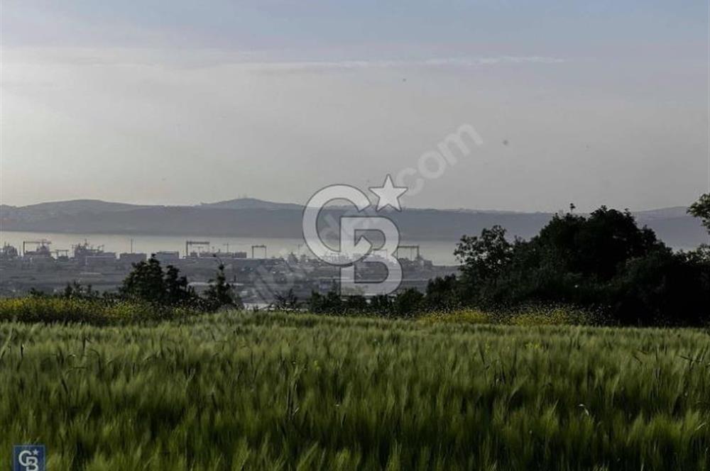 YALOVA KAYTAZDERE FULL DENİZ MANZARALI YATIRMLIK TARLA
