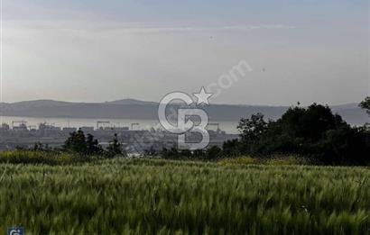 YALOVA KAYTAZDERE FULL DENİZ MANZARALI YATIRMLIK TARLA