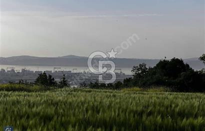 YALOVA KAYTAZDERE FULL DENİZ MANZARALI YATIRMLIK TARLA