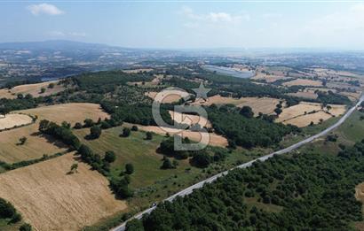 Çanakkale Çan Küçüklü'de Anayol Cepheli Satılık 9767M² Tarla !