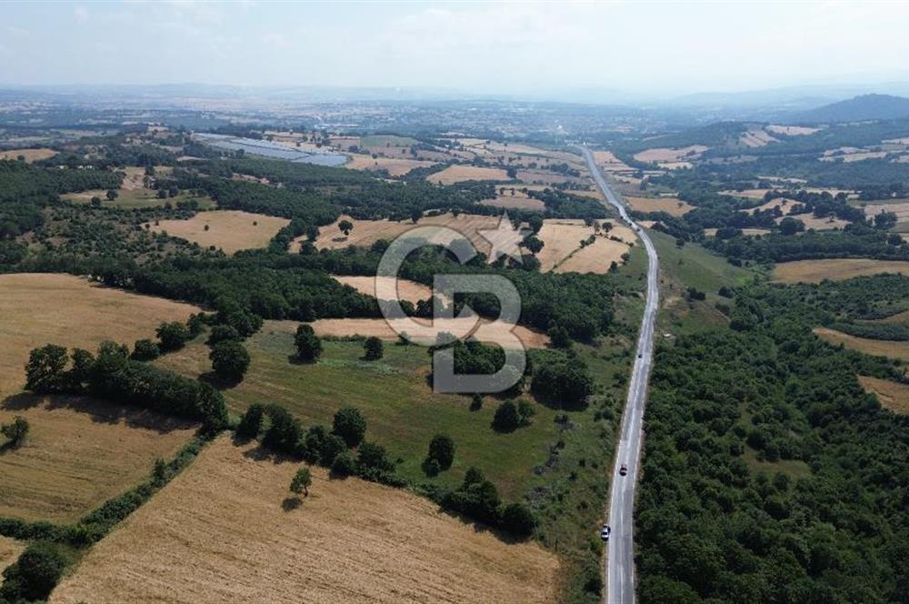 Çanakkale Çan Küçüklü'de Anayol Cepheli Satılık 9767M² Tarla !