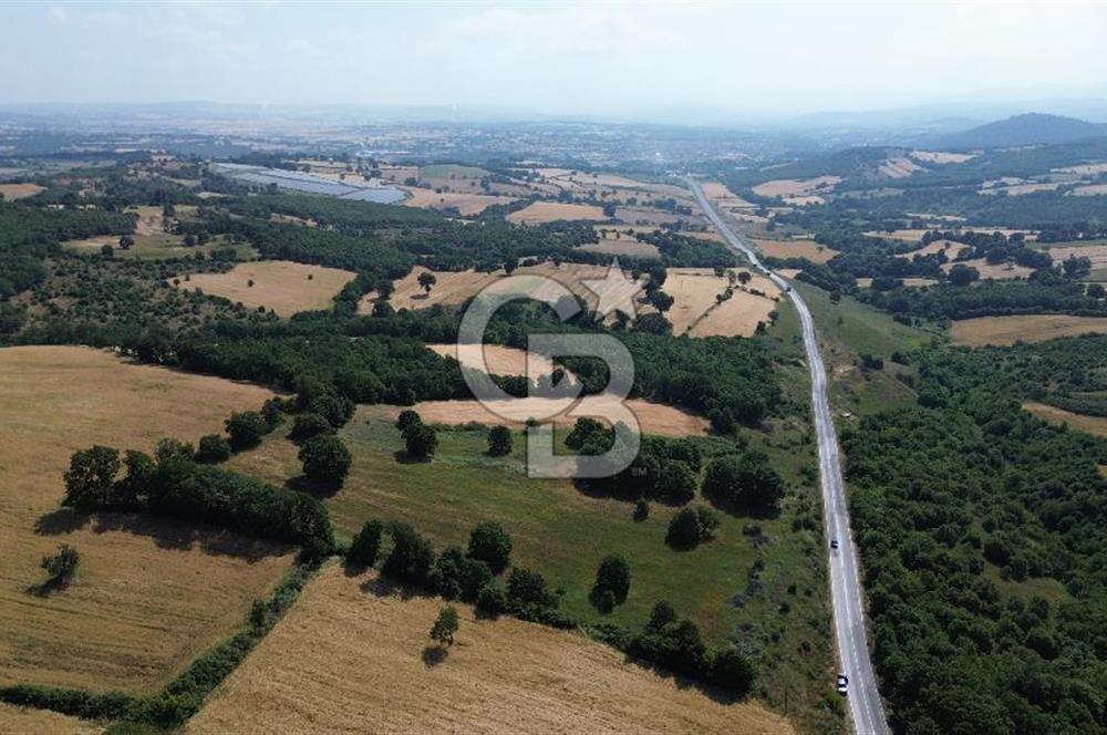 Çanakkale Çan Küçüklü'de Anayol Cepheli Satılık 9767M² Tarla !