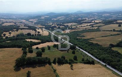 Çanakkale Çan Küçüklü'de Anayol Cepheli Satılık 9767M² Tarla !