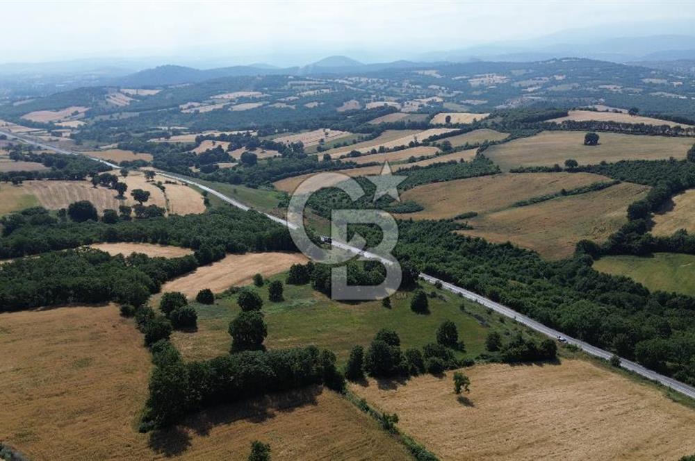 Çanakkale Çan Küçüklü'de Anayol Cepheli Satılık 9767M² Tarla !