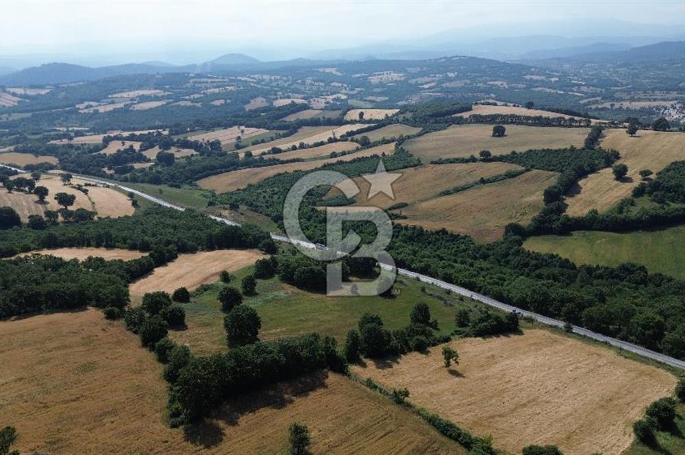 Çanakkale Çan Küçüklü'de Anayol Cepheli Satılık 9767M² Tarla !