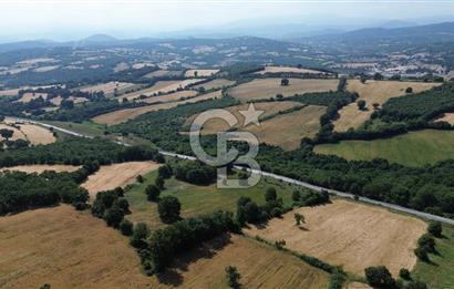 Çanakkale Çan Küçüklü'de Anayol Cepheli Satılık 9767M² Tarla !