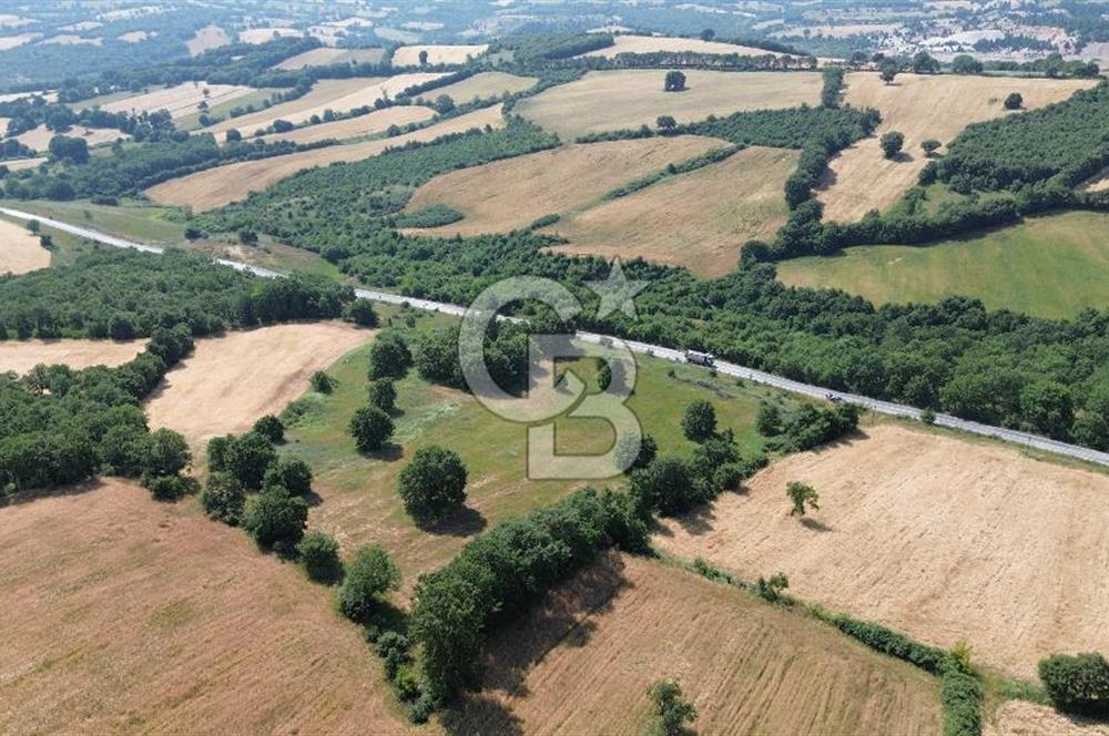Çanakkale Çan Küçüklü'de Anayol Cepheli Satılık 9767M² Tarla !