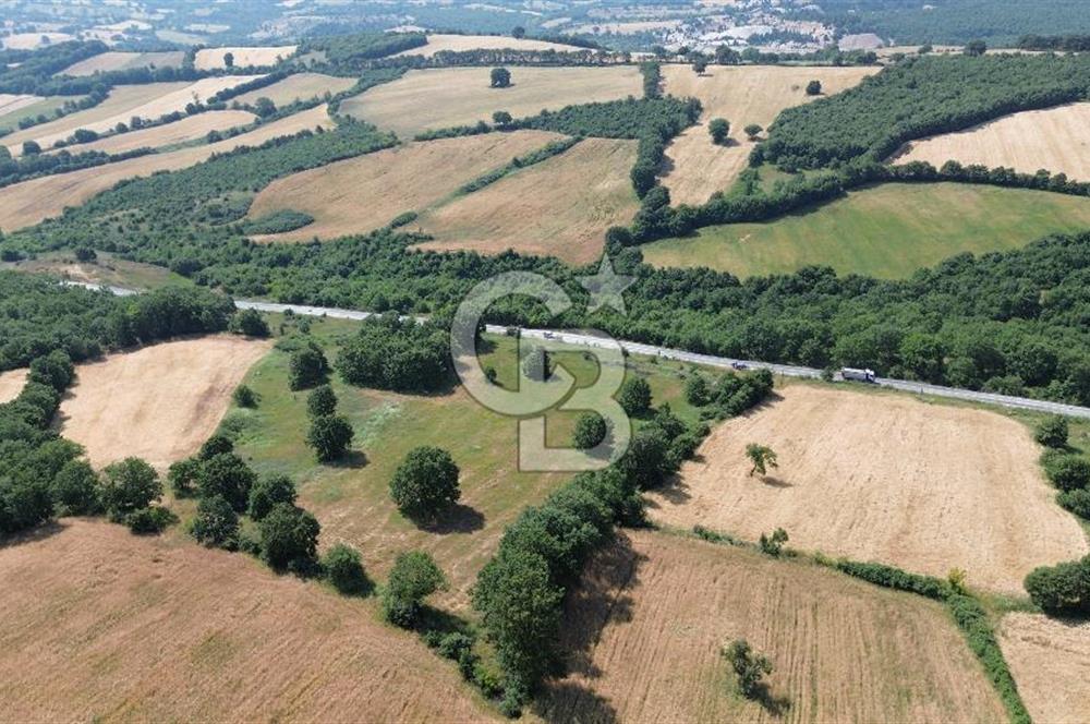 Çanakkale Çan Küçüklü'de Anayol Cepheli Satılık 9767M² Tarla !