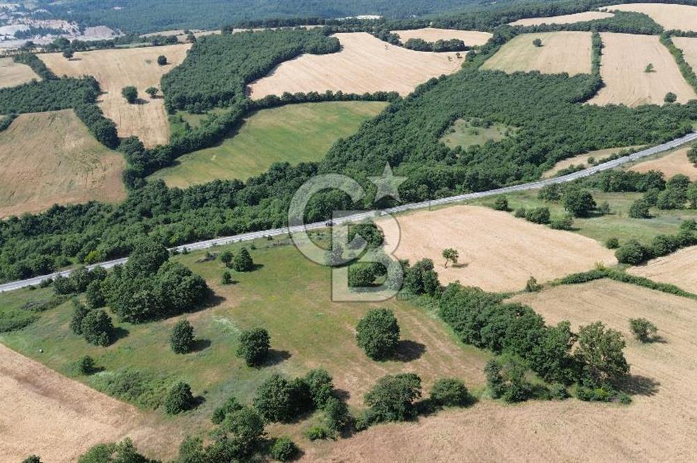 Çanakkale Çan Küçüklü'de Anayol Cepheli Satılık 9767M² Tarla !