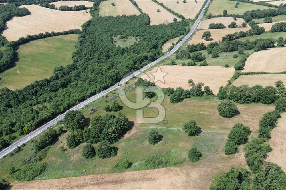 Çanakkale Çan Küçüklü'de Anayol Cepheli Satılık 9767M² Tarla !