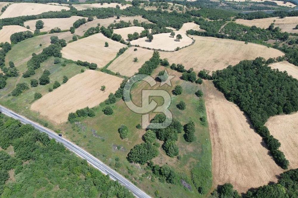 Çanakkale Çan Küçüklü'de Anayol Cepheli Satılık 9767M² Tarla !