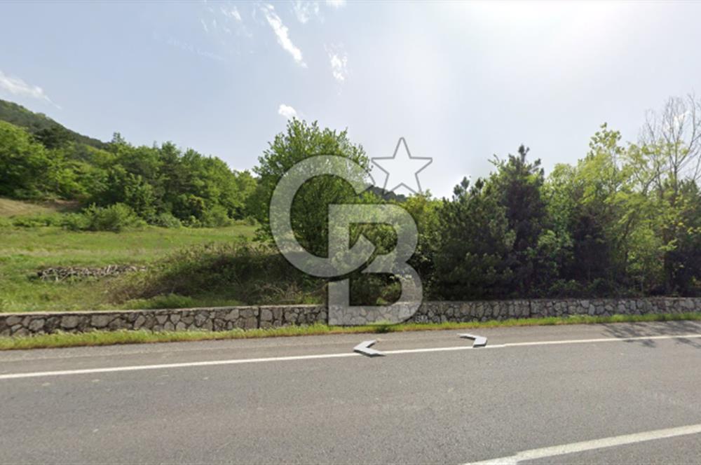 ANA YOLA CEPHE HACIOSMANLAR'DA SATILIK TURİZM İMARLI 21.800 M2 ARSA
