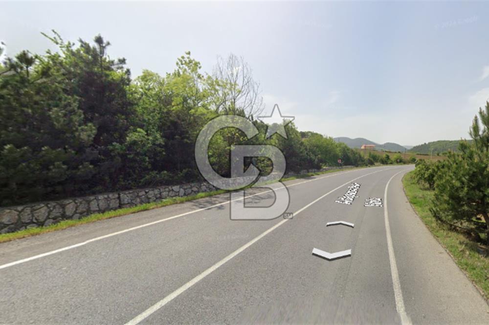 ANA YOLA CEPHE HACIOSMANLAR'DA SATILIK TURİZM İMARLI 21.800 M2 ARSA